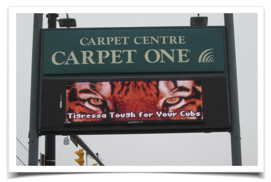 Carpet One Signage by LAAD Sign and Lighting Akron OH